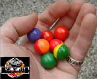 /album/campo-de-juego/paintball-velociraptor203-1-jpg/