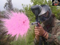 /album/campo-de-juego/paintball-velociraptor206-1-jpg/